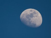 Moon   IMG 0184  Moon  -->