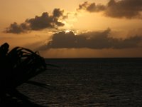 BON MAR2007 1100  -->