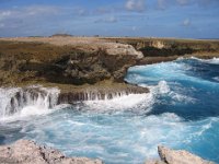 Bonaire National Park 017  -->