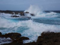 Bonaire DEC2013 1425  -->