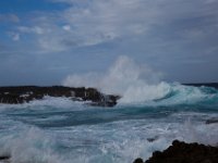 Bonaire DEC2013 1447  -->