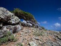 Mount Brandaris   Bonaire DEC2013 1592  Mount Brandaris  -->