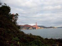 SanFrancisco NOV2013 1066  -->