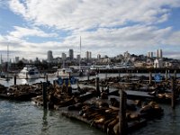 SanFrancisco NOV2013 1212  -->