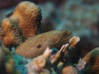 IMG 5843  -->